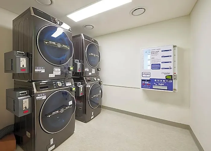 Nine Tree Premier Rokaus Hotel Seoul Yongsan Hotel 4*